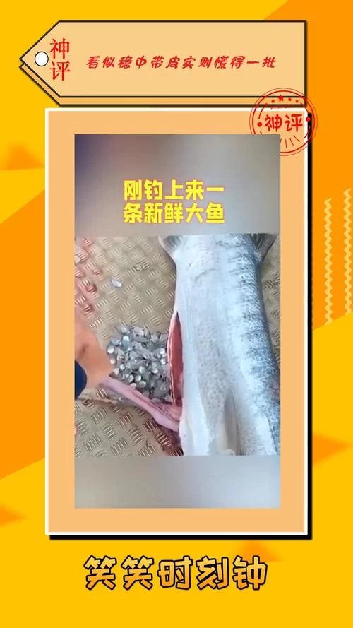 想买新鲜的大鱼？这些购买渠道和方法要知道！