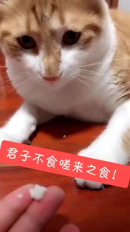 廉者不受嗟来之食，这句话在今天还有意义吗？
