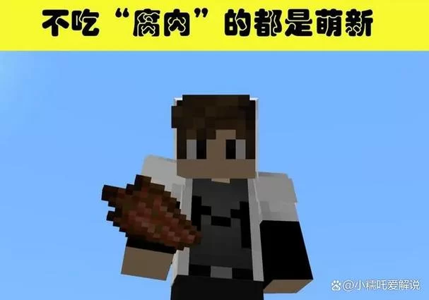 还在嫌弃腐肉？我的世界腐肉的隐藏用途揭秘！