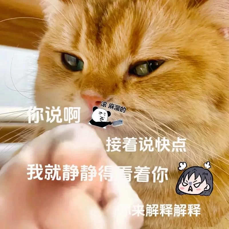 最新不回消息表情包推荐，让你的聊天充满新鲜感！