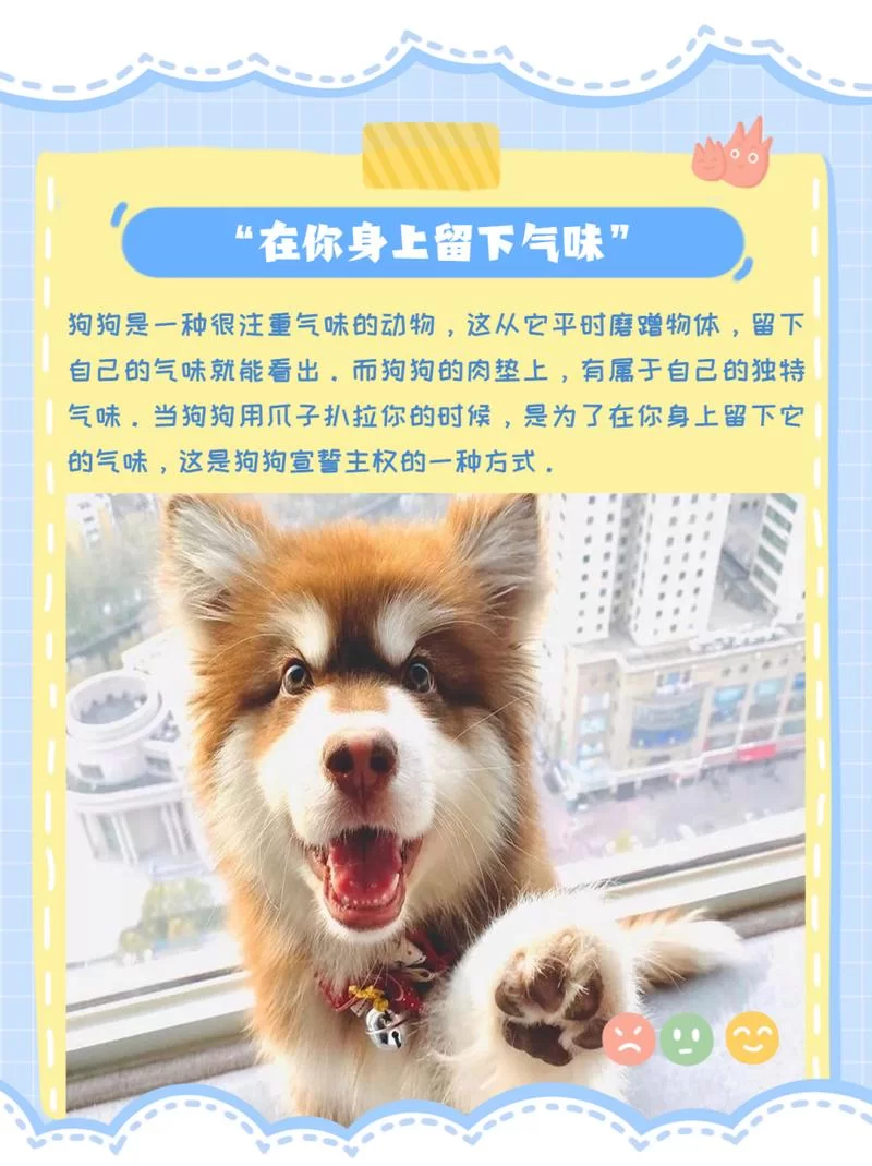 扒拉是什么意思？原来扒拉还有这些用法！