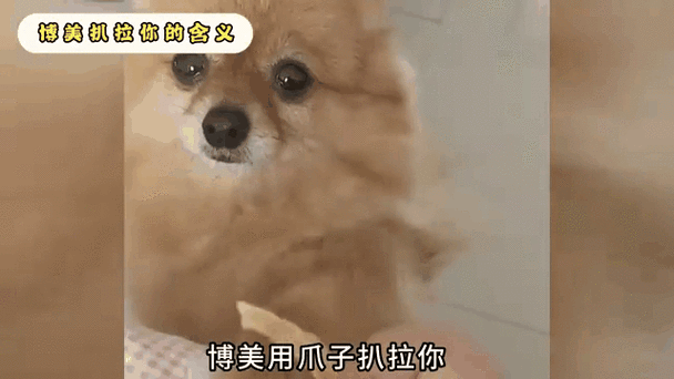 扒拉是什么意思？原来扒拉还有这些用法！