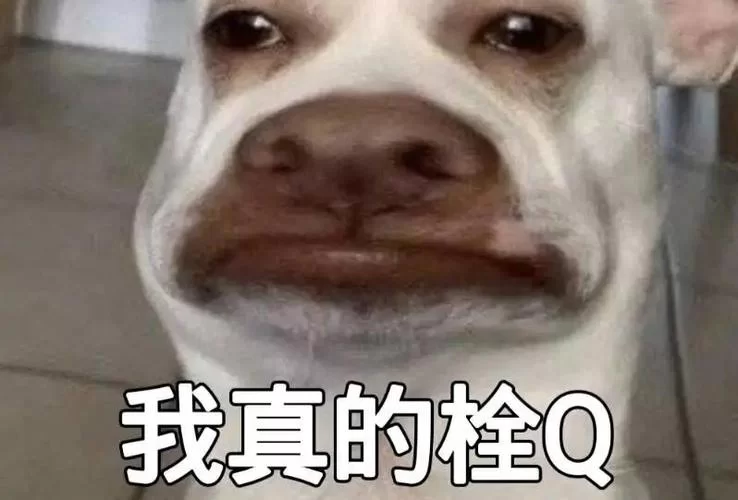 栓Q网络用语是什么？这个超火的梗你还不知道吗？