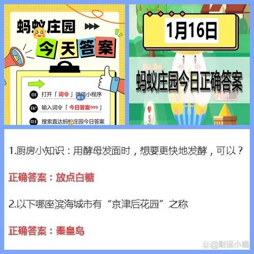 蚂蚁庄园今日答题答案大全，再也不怕答错啦！