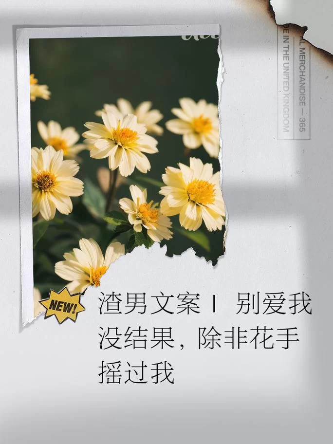谁知道除非花手摇过我上一句？这首歌最近很火！