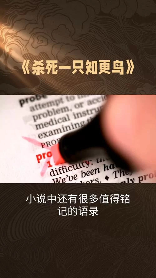是谁杀死了知更鸟经典解读，这本书到底好在哪里？