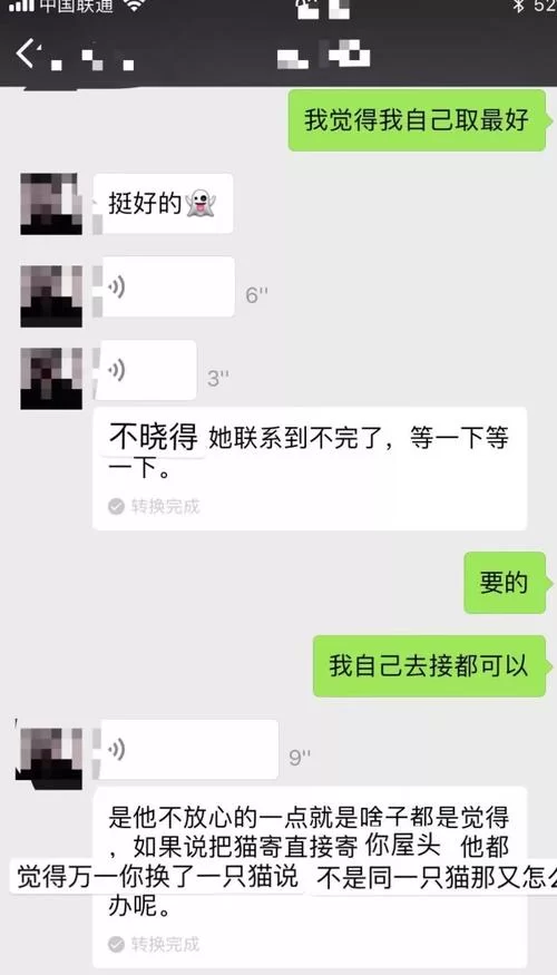 猫咪官方网页入口怎么找？老司机手把手教你！