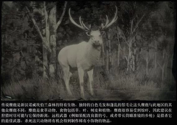 荒野大镖客2传说动物位置在哪？看完这篇你就全知道！