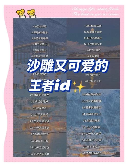 王者昵称搞笑又好听的有哪些？看这篇就够了！