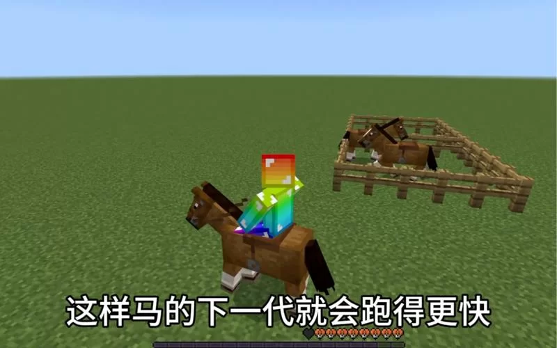 我的世界驯服马的技巧，让你快速拥有专属坐骑！