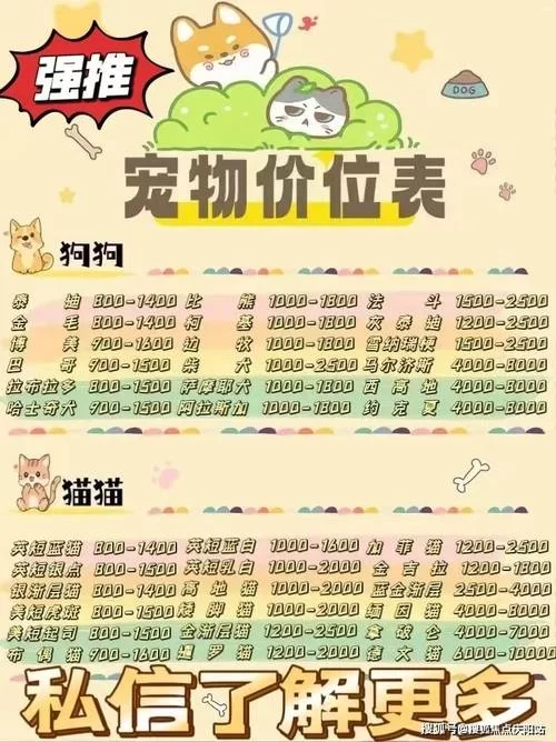 猎犬长牙多少钱？看完这份价格清单不吃亏！