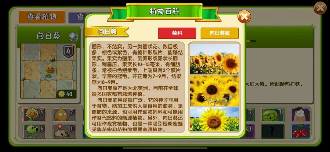 植物大战僵尸2植物图鉴更新！教你搭配最强植物阵容！
