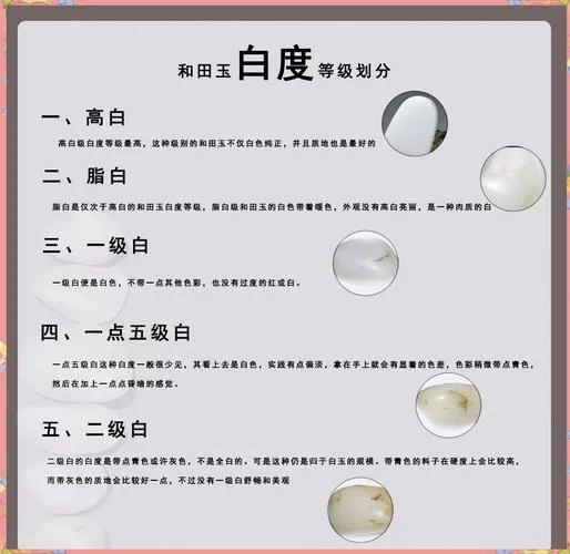 白左和白右区别是什么？这些不同点要知道！