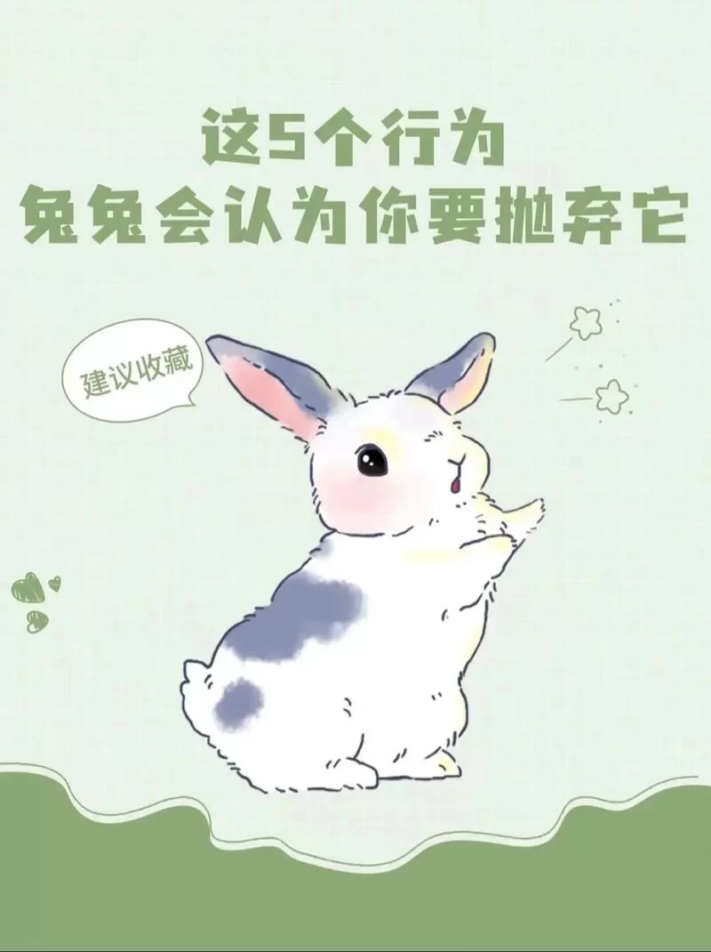 无聊的兔子有哪些表现？主人一定要注意观察！