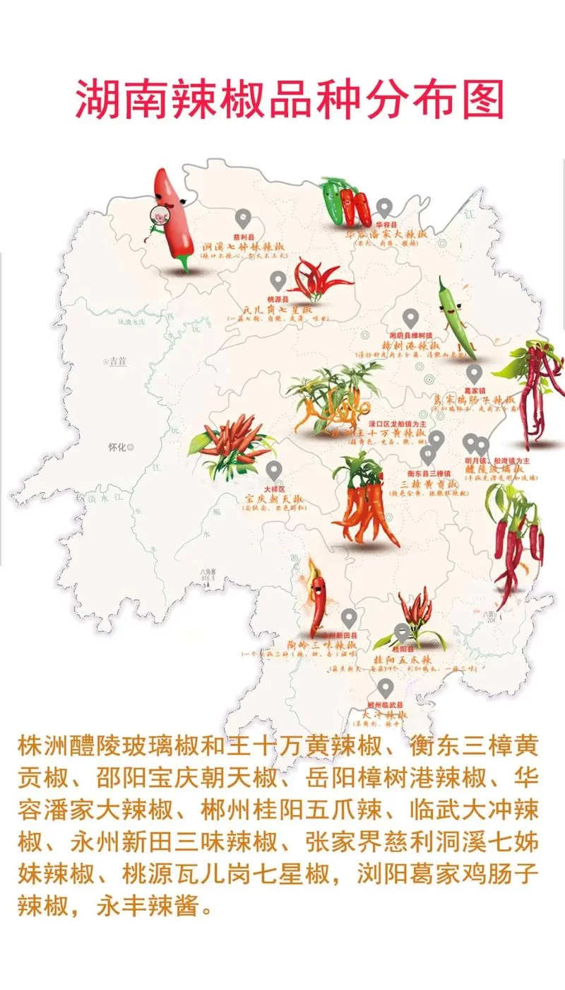 椒图哪里多？高效刷椒图的地点和技巧都在这！