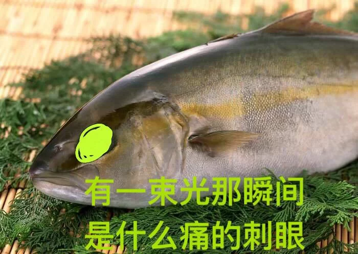 谁还没有个没有那种世俗的欲望表情包？快来一起斗图！