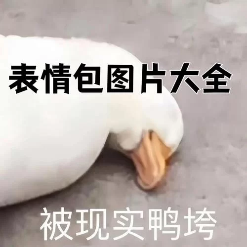 沙雕世界哪里下载？官方正版安装包看这里！