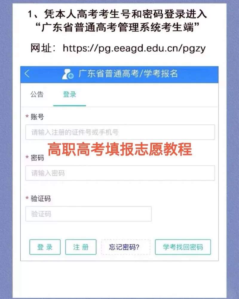 高招模拟器怎么填志愿？手把手教你填报技巧！