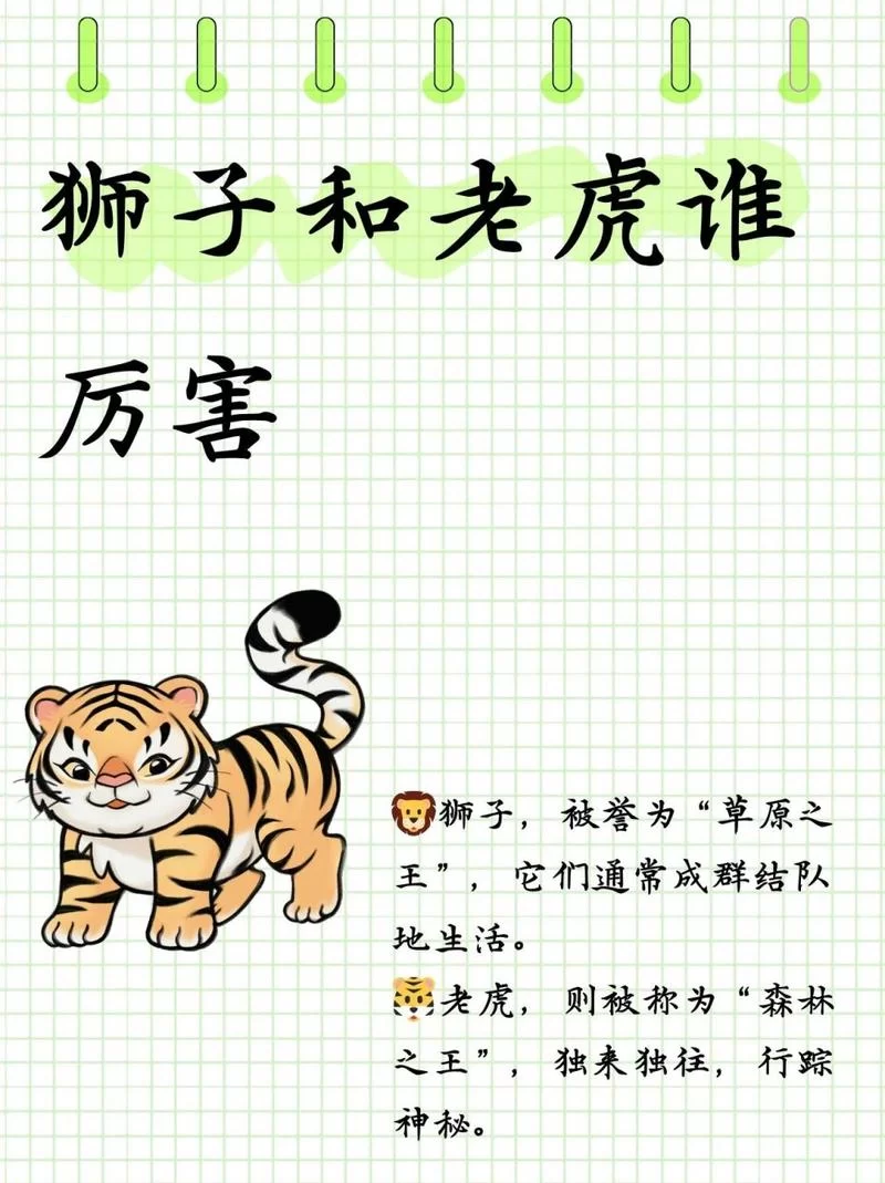 老虎和狮子谁更厉害？揭秘真正的百兽之王！