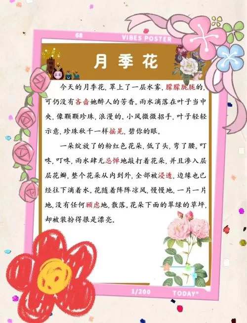 月季喜阴还是喜阳？一篇文章告诉你答案！