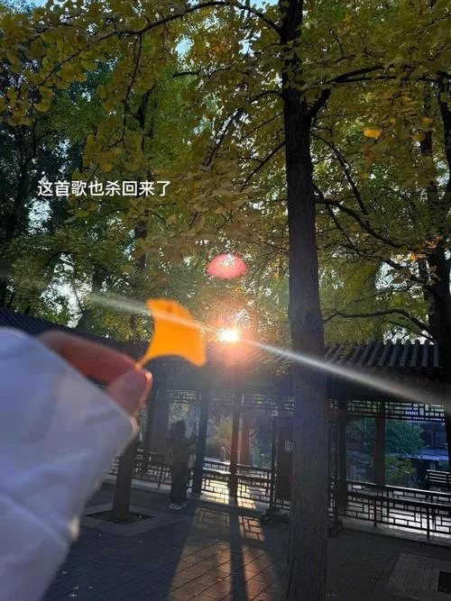 时光的岸上人来了又走，有哪些值得回忆的故事？