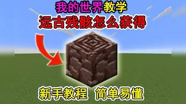 我的世界远古残骸位置在哪？高玩分享详细坐标！