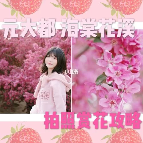 海棠链接是什么？新手小白看这篇就懂了！
