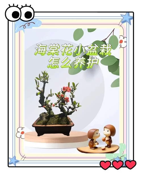 海棠链接是什么？新手小白看这篇就懂了！