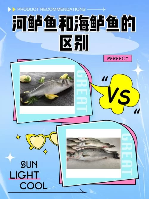 野蛮鲈鱼和普通鲈鱼有啥区别？看完这篇就懂了！
