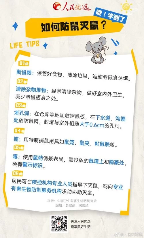 末世鼠疫来袭别慌！教你几招提升生存率！