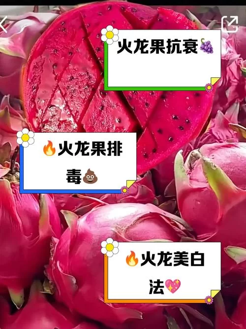 火龙果保鲜有妙招！这样做放冰箱里一个星期都新鲜！
