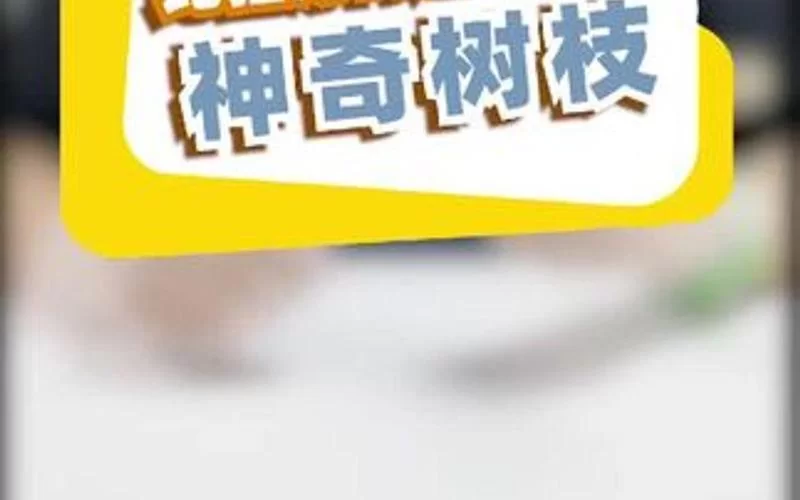猛男捡树枝怎么玩？新手快速上手攻略看这里！