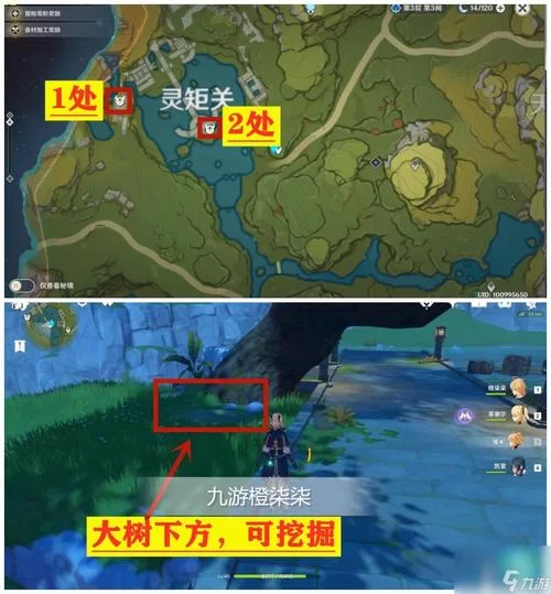 还在找无名的宝藏三个位置？这篇攻略一次性讲清！