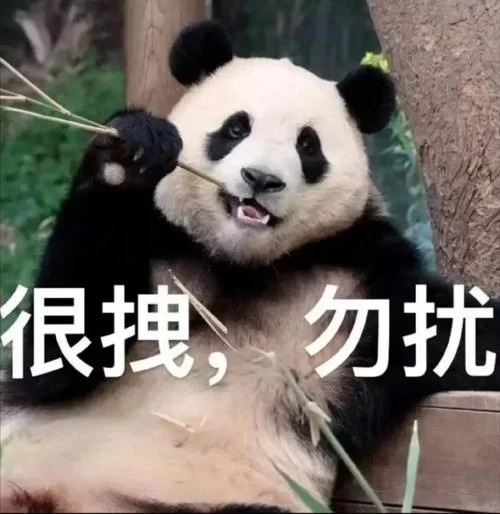 顽皮熊猫表情包大放送！每一张都萌化你的心！