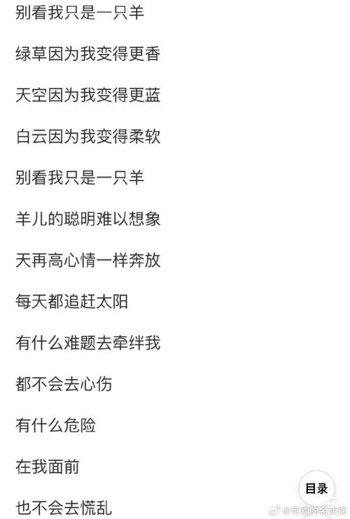 野狼disco歌词谁写的？这首歌背后的故事！