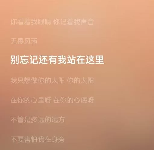 相信你还在这里从不曾离去什么歌？原来是这首催泪神曲！