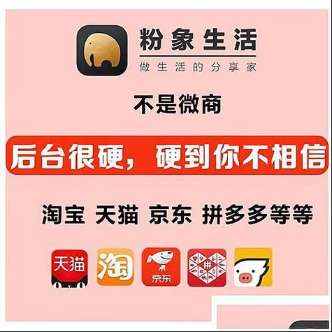 粉象生活如何赚钱？分享几个实用小技巧！