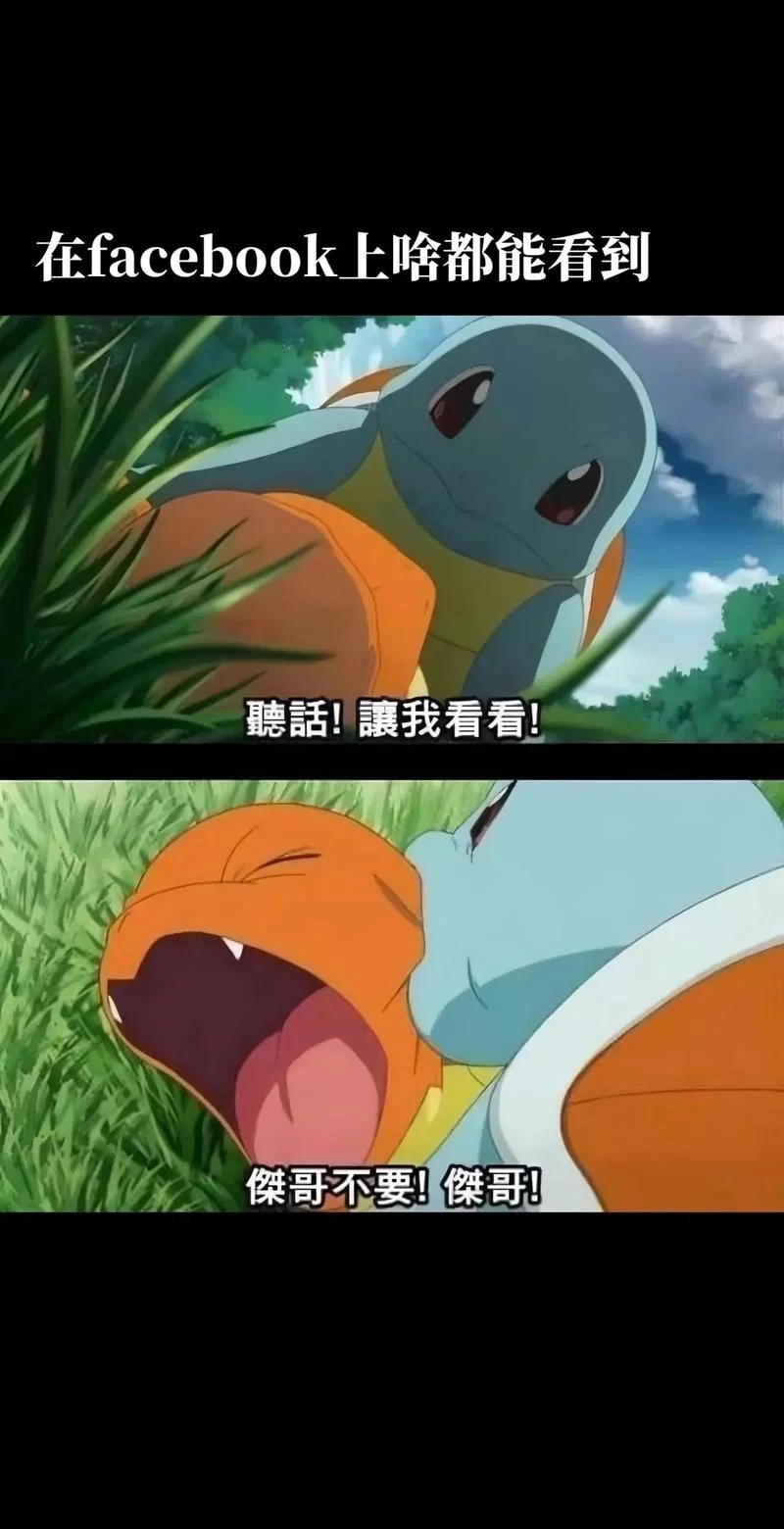 杰尼龟进化路线详解，卡咪龟和水箭龟哪个更强？