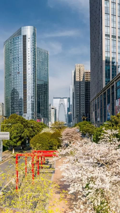 河北政务服务在哪找？这个入口你一定不能错过！