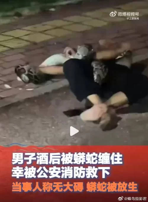 白天看两条蛇缠在一起好不好？民间说法大揭秘！