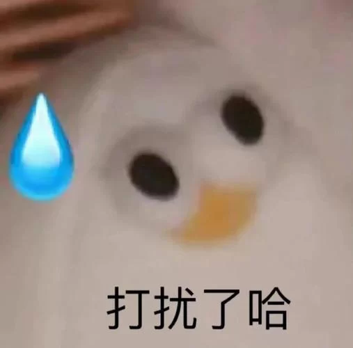 打扰了表情包哪里有？这儿有超全搞笑图片合集！