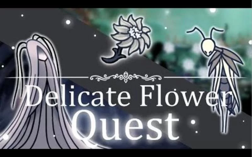 想完成空洞骑士送花任务？最佳路线规划看这里！