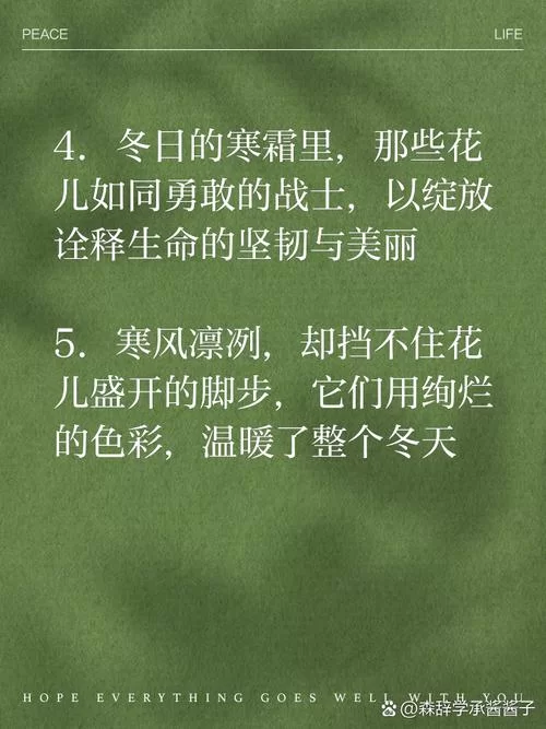 簇拥烈日的花如何过冬？做好这几点安全越冬！