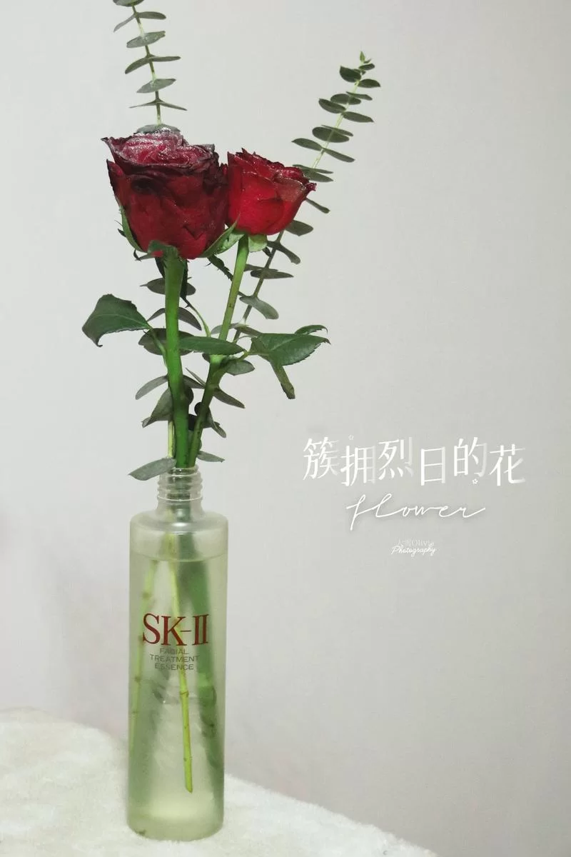 簇拥烈日的花如何过冬？做好这几点安全越冬！