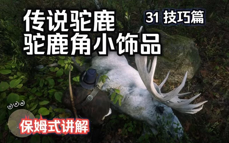 荒野大镖客2传说公鹿难打吗？老玩家教你轻松狩猎！