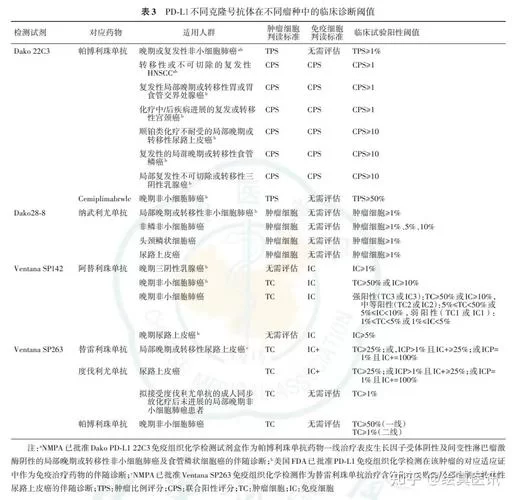 经常听人说pdl，那么pdl是什么意思？