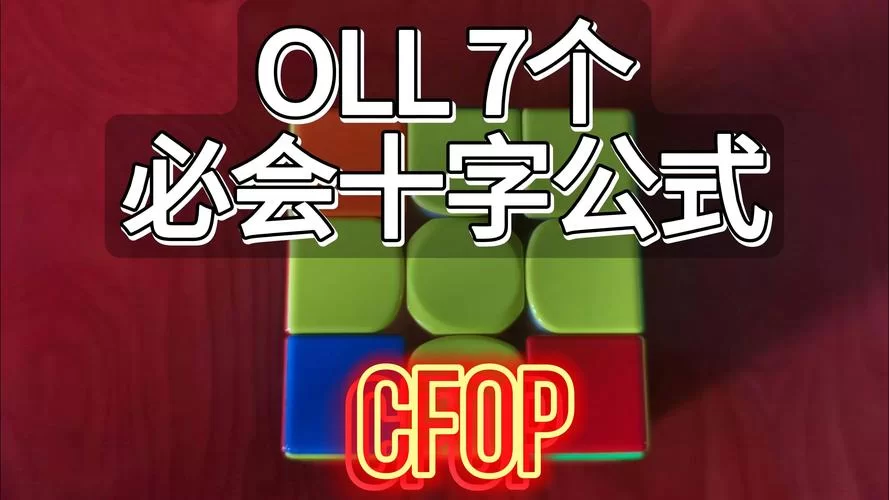 经常听人说pdl，那么pdl是什么意思？