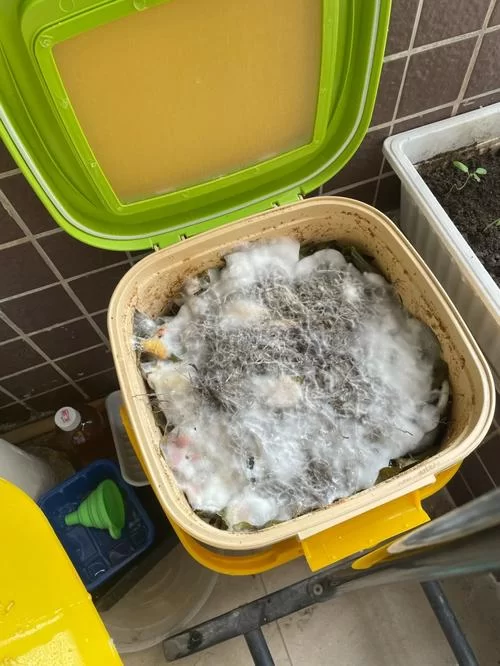 饥荒堆肥桶不会用？这几个堆肥桶使用方法快收藏！