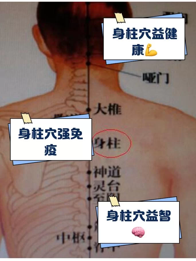 靖世九柱柱子位置都在哪？超详细攻略看这里！