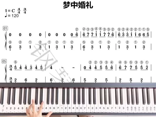 想学梦中的婚礼简谱？这篇保姆级教程别错过！